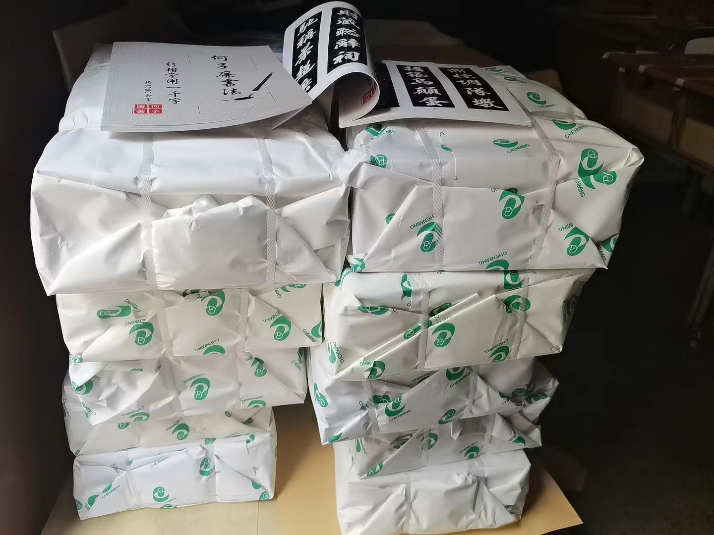 吴忠画册
